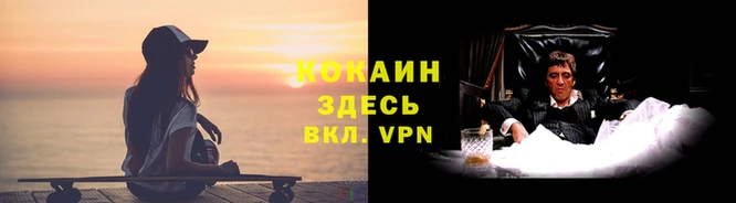 кокаин колумбия Сясьстрой