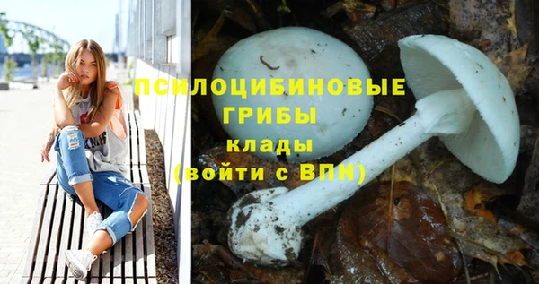 альфа пвп Тайга