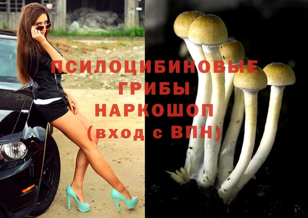 альфа пвп Тайга