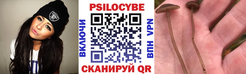 сколько стоит  Уяр  Псилоцибиновые грибы MAGIC MUSHROOMS 